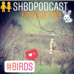Bird spotting
