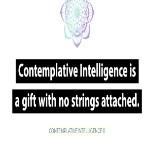 What is Contemplation and the Power of Contemplative Intelligence