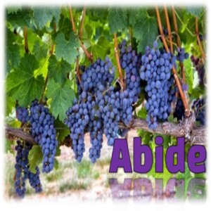 Abide (John 15:1-8)