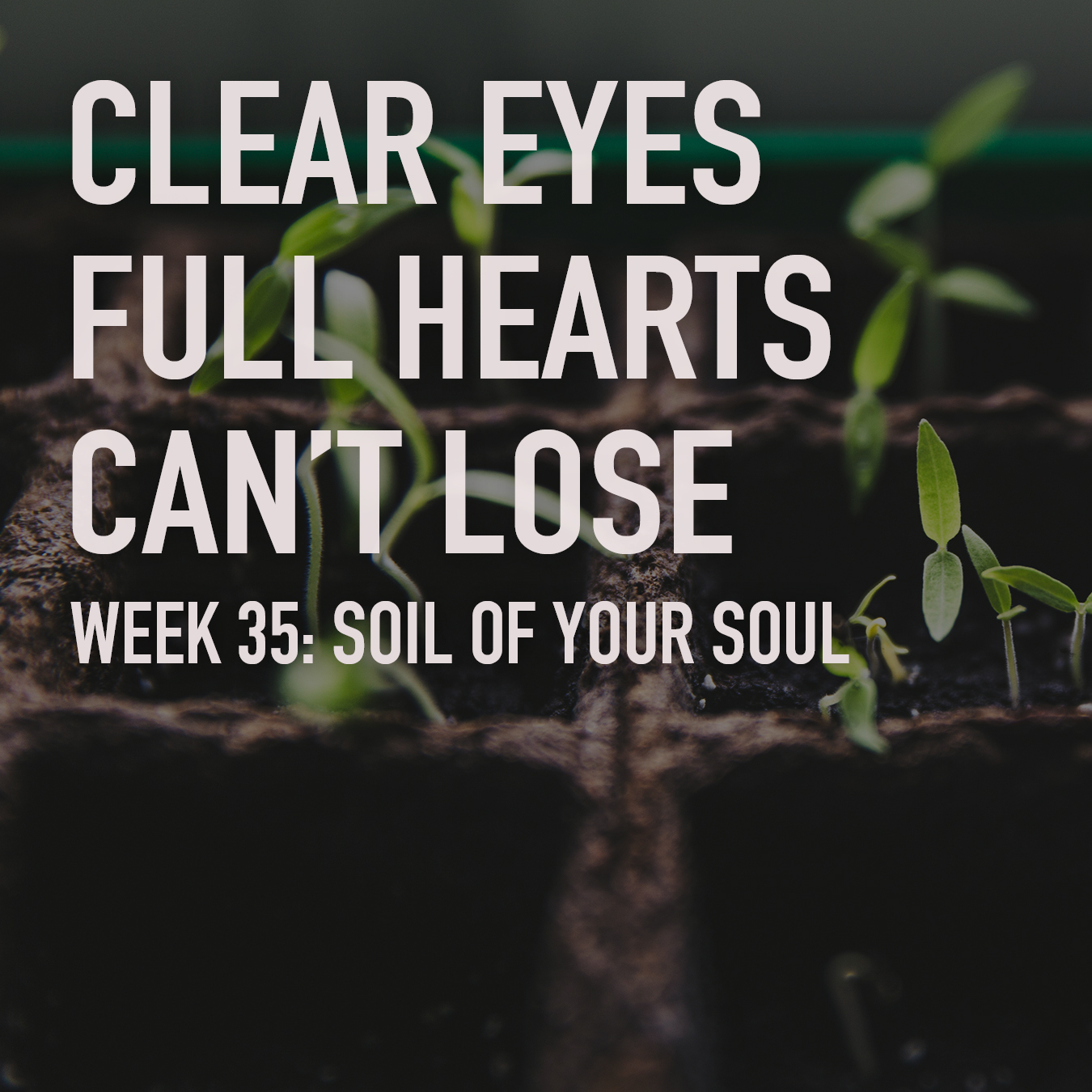 Clear Eyes, Full Hearts, Can't Lose. Week 35: Soul of Your Soul