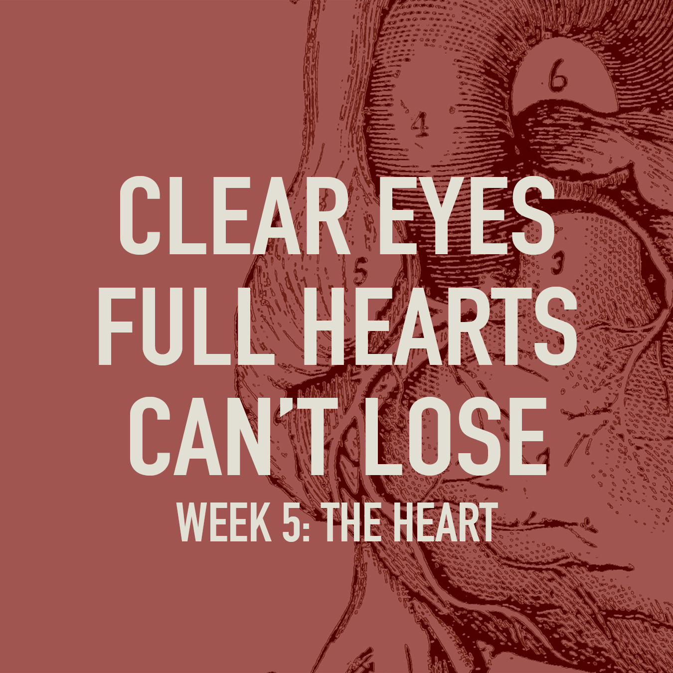 Clear Eyes, Full Hearts, Can't Lose. Week 5: The Heart  