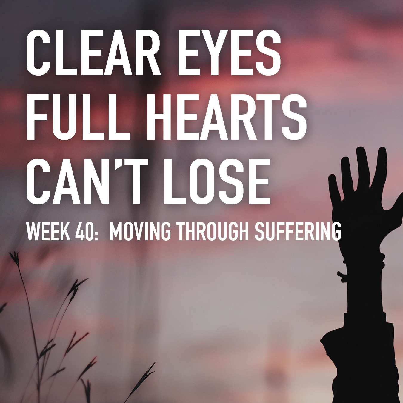 Clear Eyes, Full Hearts, Can't Lose. Week 40: Moving through Suffering 