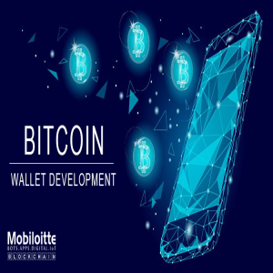 Bitcoin Wallet Development