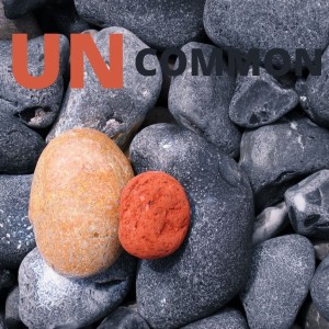 UnCommon ~ Encountering Jesus in Everyday Spaces