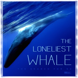 Minisode 9 - The Loneliest Whale: The Search for 52