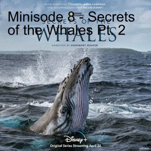 Minisode 8 - Secrets of the Whales Pt. 2