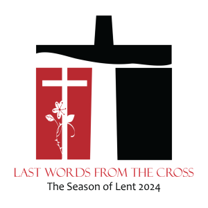 The Last Last Word, Dr. Noel Schoonmaker, The Sanctuary Service