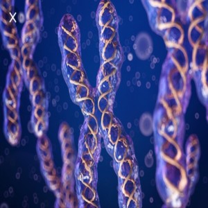 Genes & Alleles