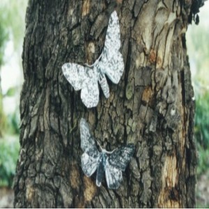 Reproduction
