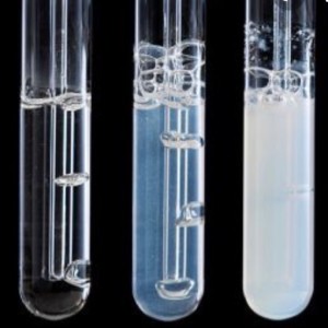 Chemistry Paper 2 - Gas Tests