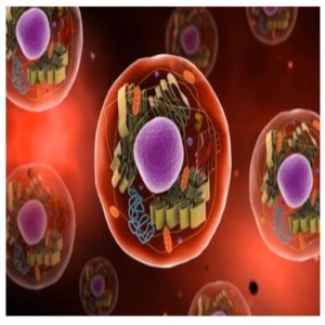 Biology Lesson 1 - Cell Biology