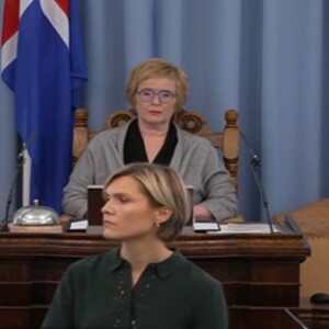 Ríkisstjórn án áttavita