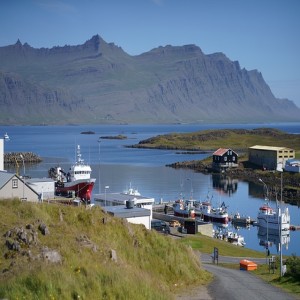 Frá hungurmörkum til bjargálna, arðsemi og sjálfbærni