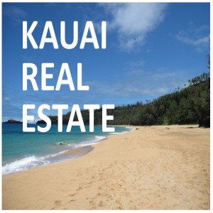  Kauai Real Estate - November MLS Market Report