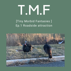 Episode 1: Roadside attraction