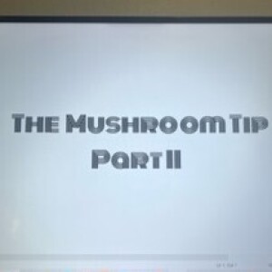 The Mushroom Tip Pt. 2