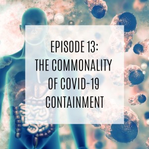 The Commonality of COVID-19 Containment