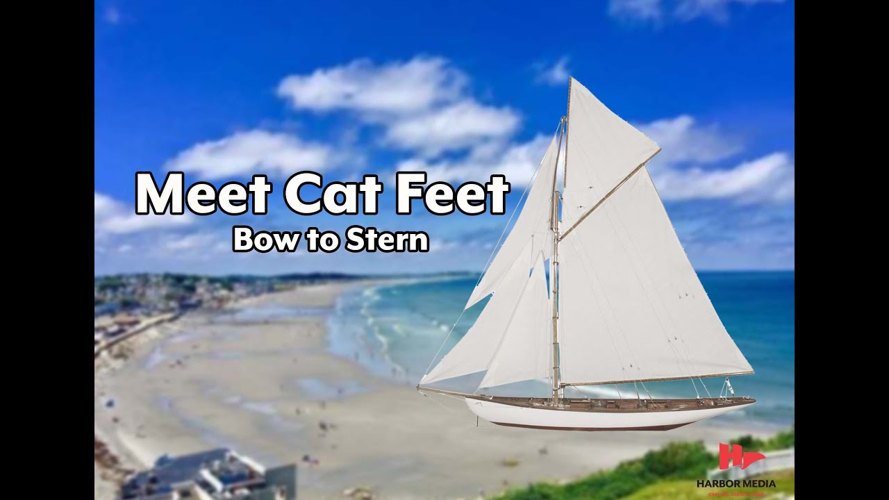 Meet Cat Feet | Bow to Stern