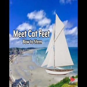 Meet Cat Feet  | Bow to Stern