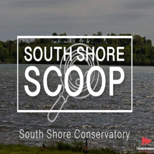 South Shore Conservatory | South Shore Scoop