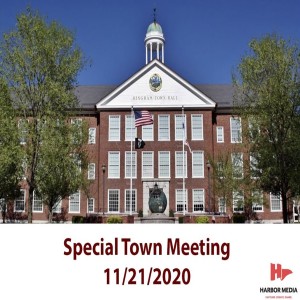 Special Town Meeting 11/21/2020