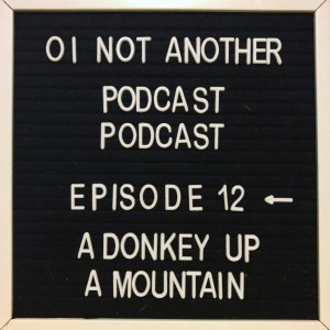 Episode #12 - "A Donkey up a Mountain"
