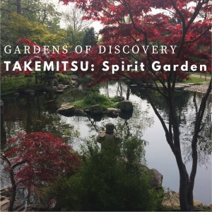 Gardens of Discovery 3 - Takemitsu: Spirit Garden