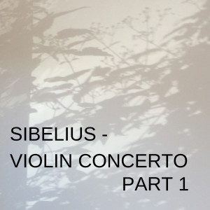 A Violinist's Stream of Consciousness: Sibelius Violin Concerto 1/3