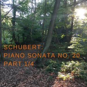 Epic and intimate piano: Schubert Sonata No.20 [1/4]