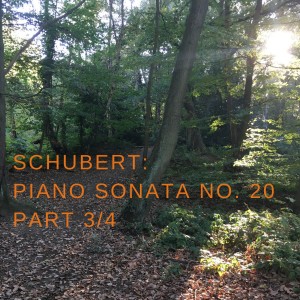 Epic and intimate piano: Schubert Sonata No.20 [3/4]