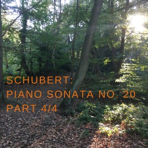 Epic and intimate piano: Schubert Sonata No.20 [4/4]