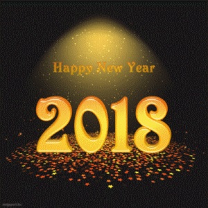 463 - 2018 NEW YEAR EXTRAVAGANZA