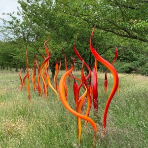 Chihuly Exhibition - Part 1