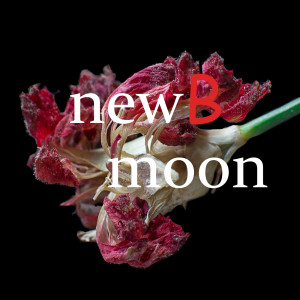New Moon Ch. 24 - Epilogue. FINALE!