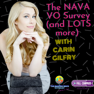 The NAVA VO Survey (and LOTS more) with Carin Gilfry