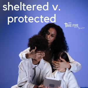 Episode 143 - Sheltered v. Protected