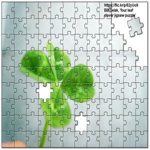 Episode 52: Jigsaw Puzzles