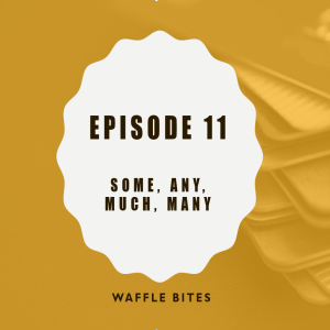 Waffle Bites 11: Some, any, much, many