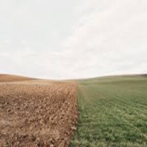 PICK the RIGHT SOIL