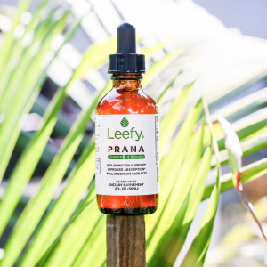 Founder of Leefy Organics shares secrets on the life changing product Leefy Organics!