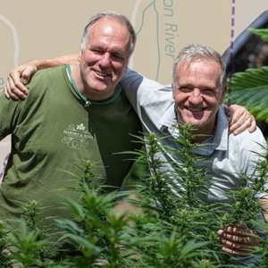 Michael and Paul Harney discuss The Hemp Division and CBD