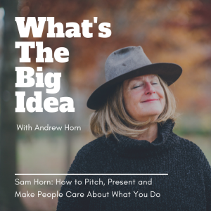Sam Horn - How to Pitch, Present and Make People Care About What You Do