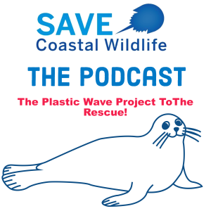 The Plastic Wave Project ToThe Rescue!