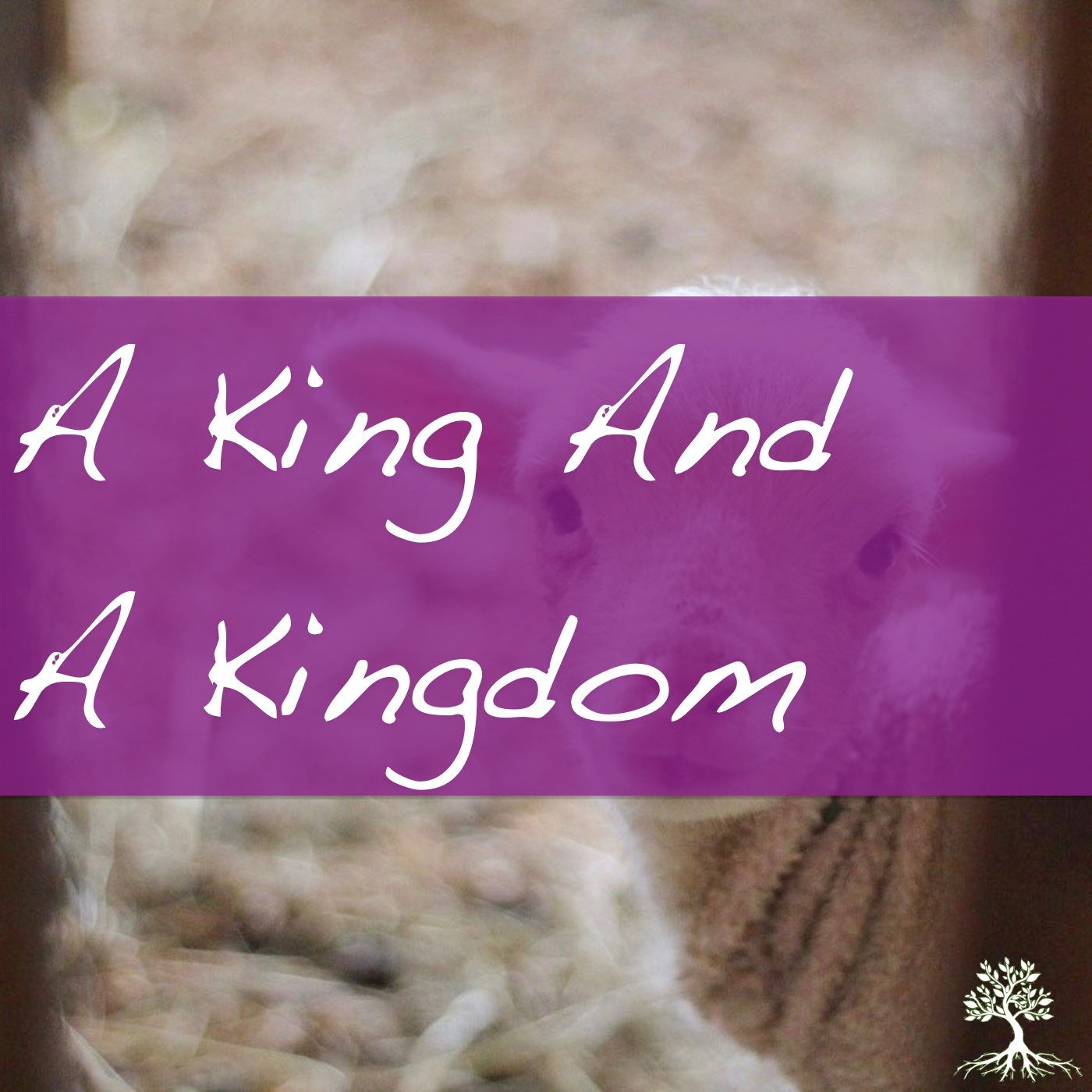 A King And A Kingdom (Natalia Terfa 11/26/17)