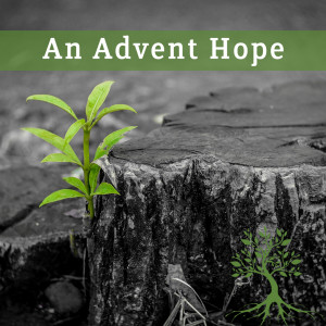 An Advent Hope (Natalia Terfa 12/08/19)