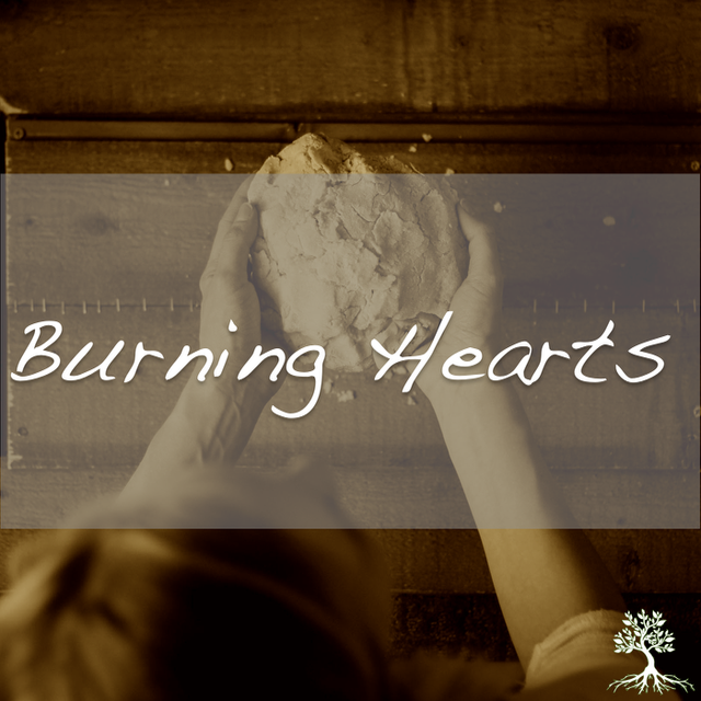 Burning Hearts (Natalia Terfa 4/30/17)