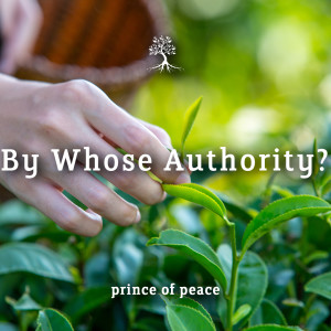 By Whose Authority?