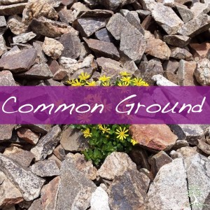 Common Ground (Nate Bergengren 3/24/19)