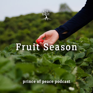 Fruit Season