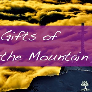 Gifts of the Mountain (Natalia Terfa 3/3/19)